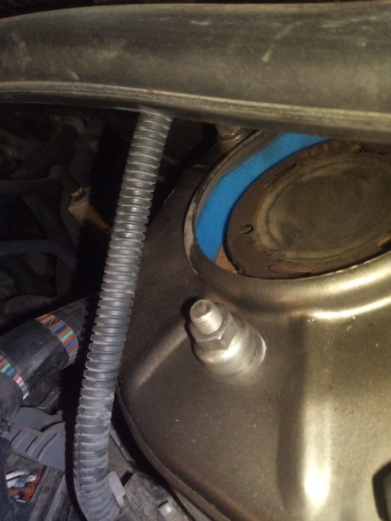 Shock absorber rear strut spacer, lift +20 mm
