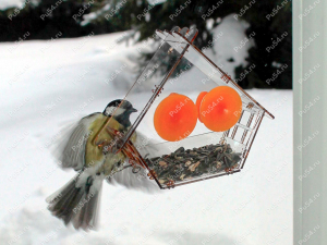 Plastic bird feeder with vacuum caps, Código de product 56-20-033, Poliuretano, naranja, Imagen №5