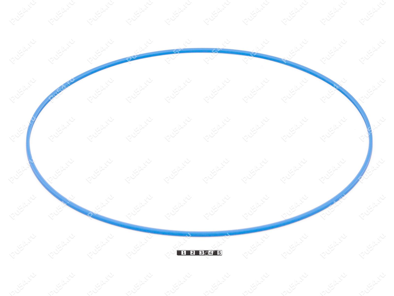 Кольцо полиуретановое _ 2 325.05*318.75*4, Código de product 33-78-334, Poliuretano, PU54/M87/синий, Imagen №1